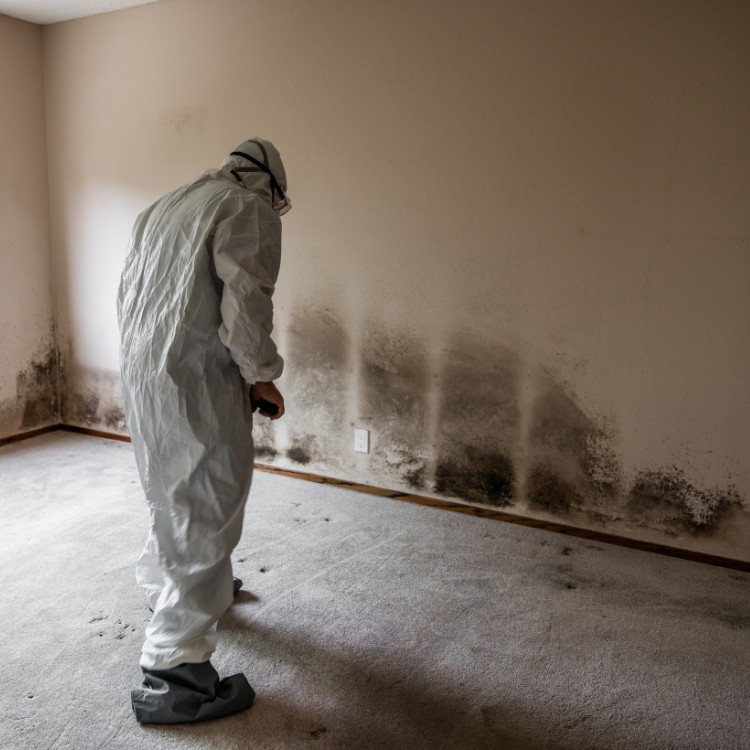 Just another WordPress site