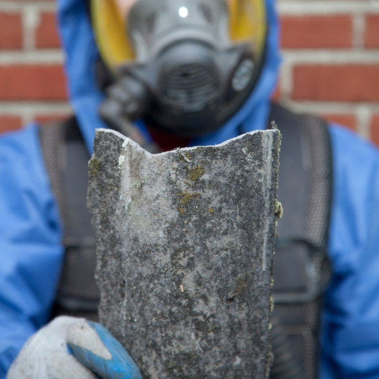 Just another WordPress site